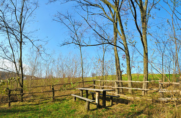 table bench near trees