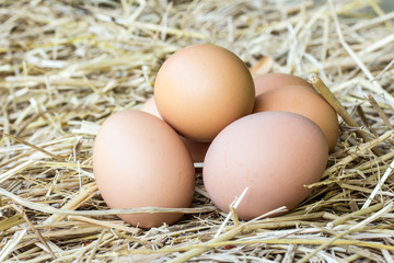 Chicken eggs on a straw bazaar counter