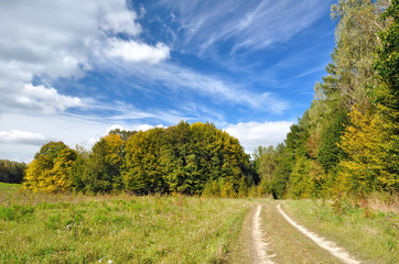 Fototapeta na wymiar dirt road near the autumn forest