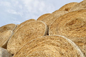 rolls of straw
