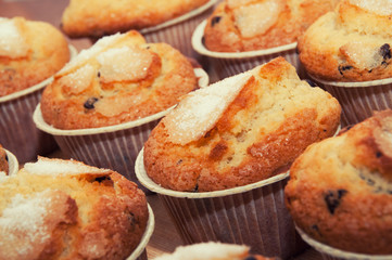 Fototapeta premium muffins
