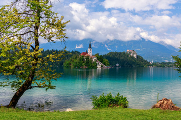 Fototapeta na wymiar Lake Bled in summer