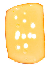 sliced cheese isolated
