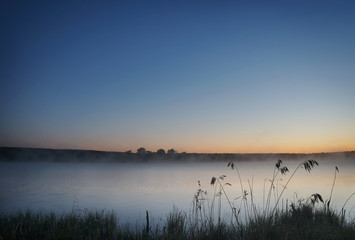 Beautiful summer landscape in foggy morning at the pond