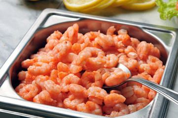 crevettes rose