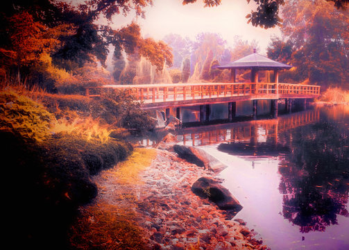 Misty Japanese garden
