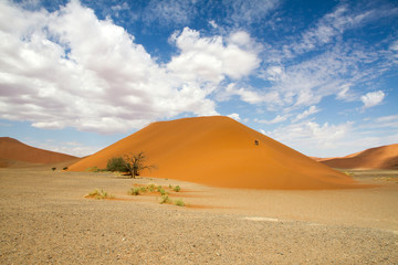 Fototapeta na wymiar The red sand dune 45 in the Sossusvlei desert, Namibia