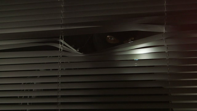 Crime scene investigation at night