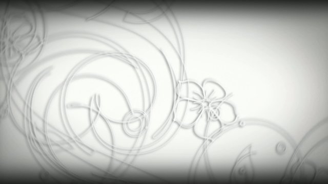 Sfondo bianco con fiori in evoluzione Erym