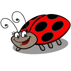 Obraz na płótnie Canvas Ladybug