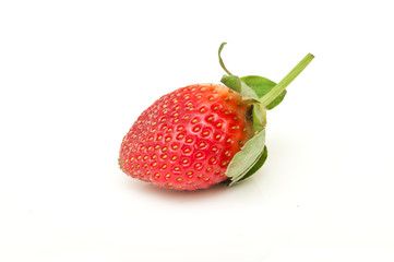 fraise sur fond blanc