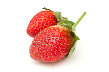 fraises sur fond blanc