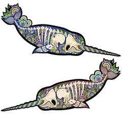 Narwhals © adamova