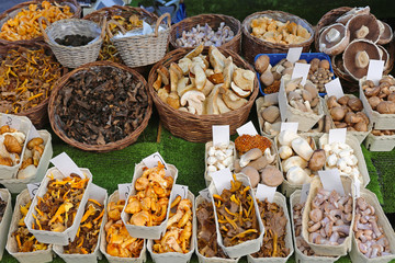 Edible mushrooms
