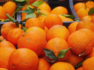 oranges market