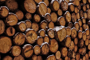 gestapelte Baumstämme mit Schnee