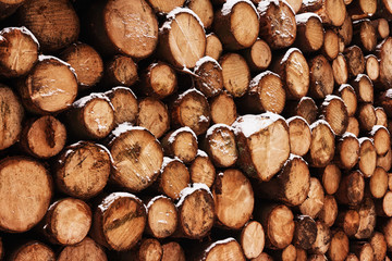 gestapelte Baumstämme mit Schnee