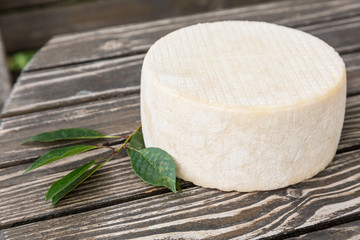 Head of goat cheese