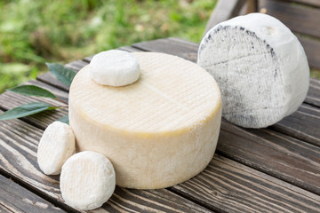 Assorted goat cheese
