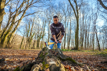 Lumberjack with the axe stabbed the tree stump