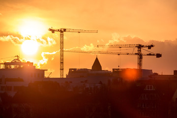 Construction cranes in sunset 