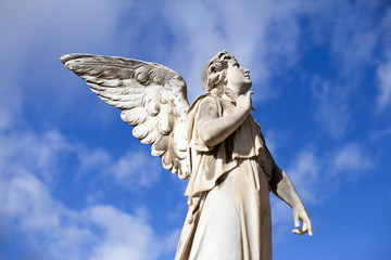 Ángel mirando al cielo