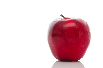 Close up of red apple