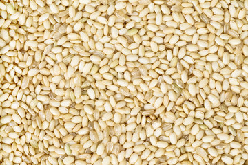 background and texture of sweet brown rice