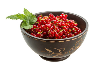 Red currant