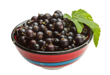 Black currant