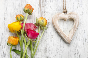 Pink persian buttercup flowers (ranunculus) on white wood