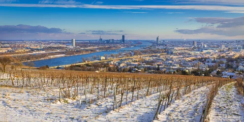 Zelfklevend Fotobehang Wintertime in Vienna © A. Karnholz