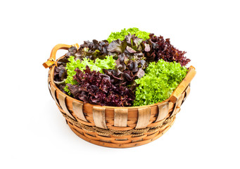 Fototapeta na wymiar Vegetable in wooden basket isolated on white background