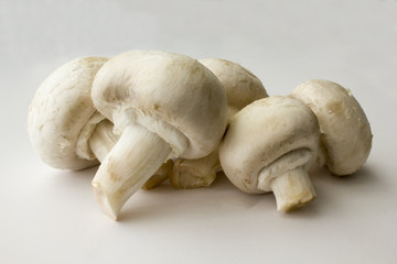 Champignon