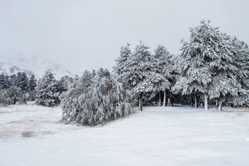 New Year to freezing in Sicily...