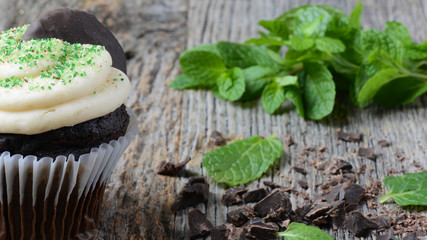 Mint Cupcake With Fresh Mint Leaves on Wood Background