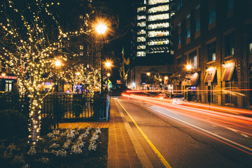 Christmas lights on trees and traffic along a street in Harbor E