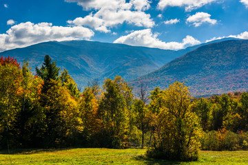Obraz premium Early autumn color in the White Mountain National Forest, New Ha