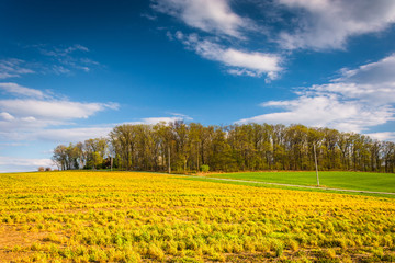 Obraz premium Field in rural York County, Pennsylvania.