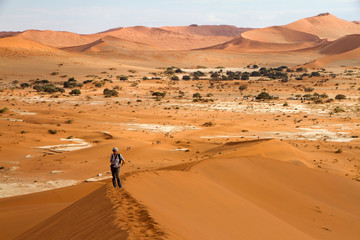 Fototapeta na wymiar Sossusvlei desert, Namibia