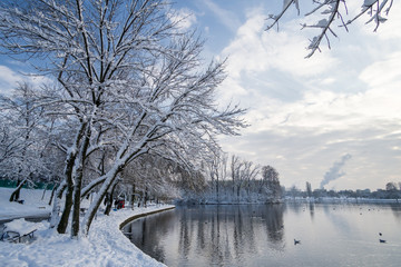 near the lake, in the snow
