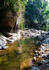 Landscape with river and stones in jungle