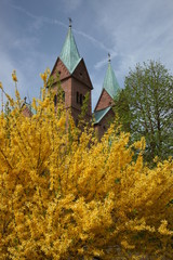 Kloster Neustadt