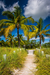 Obraz na płótnie Canvas Path to the beach and palm trees at Smathers Beach, Key West, Fl