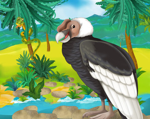 Cartoon scene - wild South America animals - condor - illustration for the children