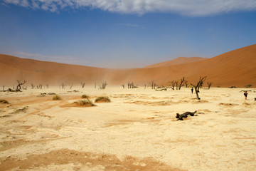 Fototapeta na wymiar Sossusvlei desert, Namibia