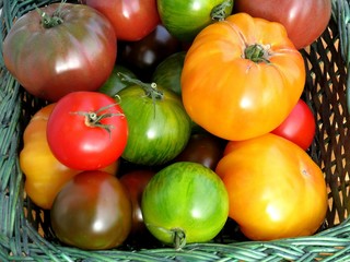tomates