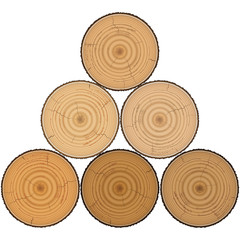 Fototapeta premium Lumber wood in pyramid isolated on white background