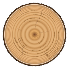Lumber wood isolated on white background