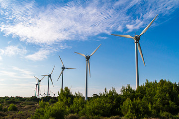 Wind Turbines for Renewable Energy